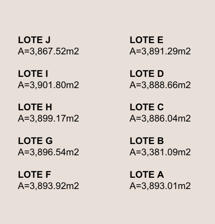 lotes